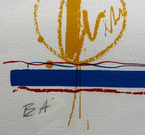 Sam Middleton - Sam Middleton (2 stuks): 1 ingelijste gesigneerde kleurenlitho én 1 niet ingelijste gesigneerde kleurenlitho kopen? Bied vanaf 60!