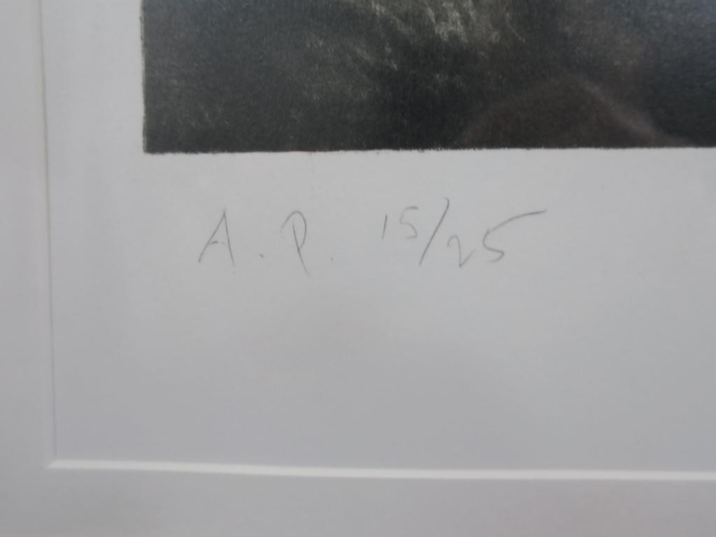 Onbekend gesigneerd: Zeefdruk, Z.T. Lampenkap - Ingelijst (Groot) kopen? Bied vanaf 35!