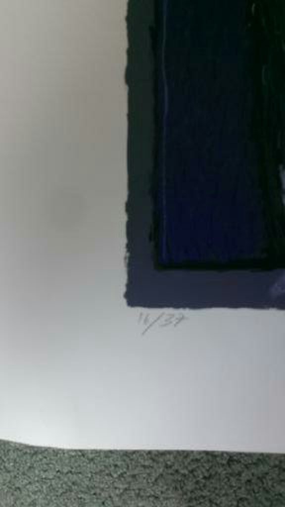 Ahmad Baldin : Zeefdruk , 1994 , groot formaat kopen? Bied vanaf 55!