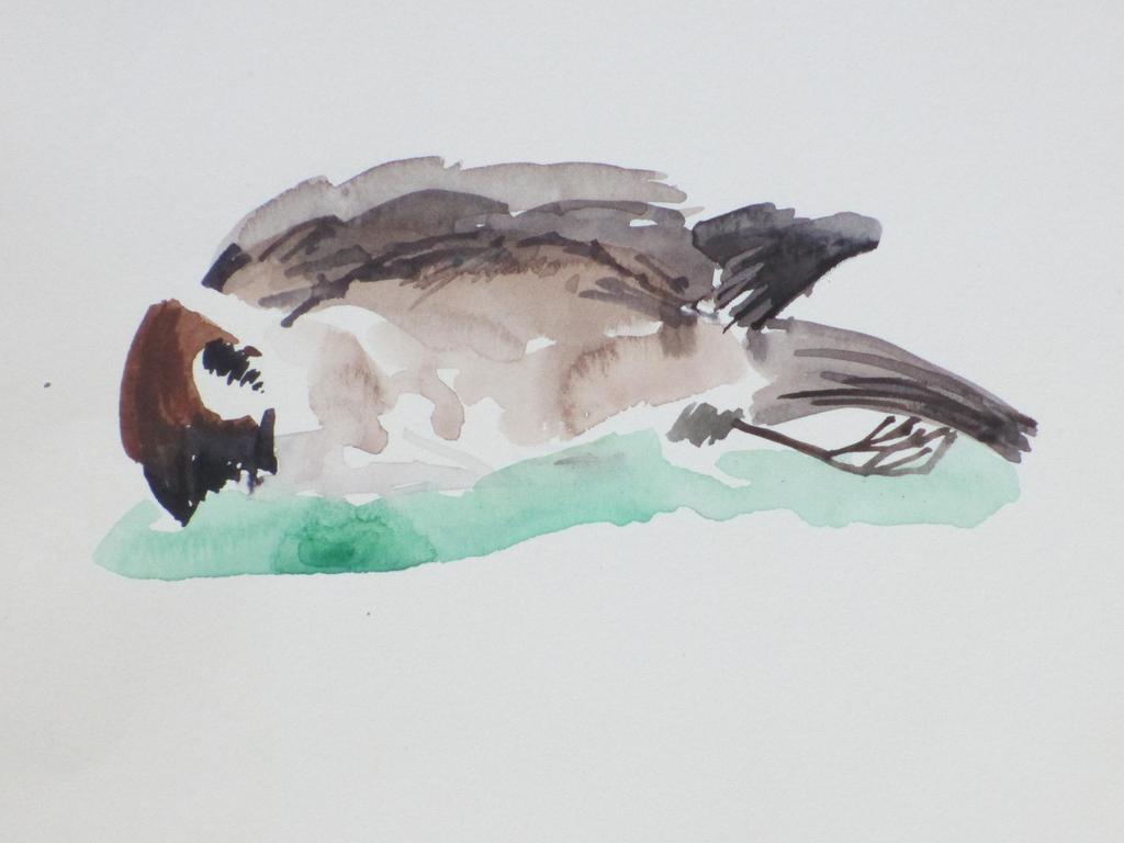 Hannie Bouman, Dode mus, Aquarel kopen? Bied vanaf 1!