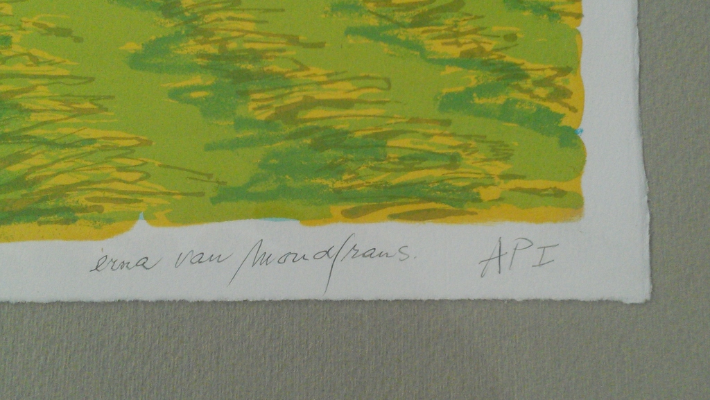 Erna van Mondfrans: Fryslan  kopen? Bied vanaf 30!