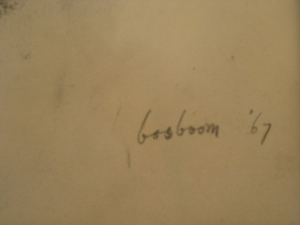 19e eeuwse houtskooltekening "portret dame" gesign Bosboom '67 kopen? Bied vanaf 1!