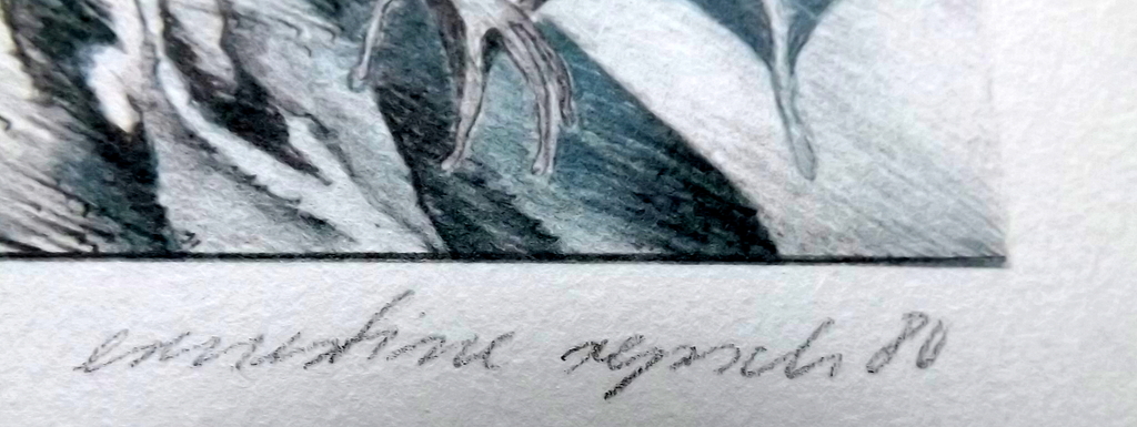 Ernestine Repsch - litho uit 1980 - zeldzaam kopen? Bied vanaf 1!