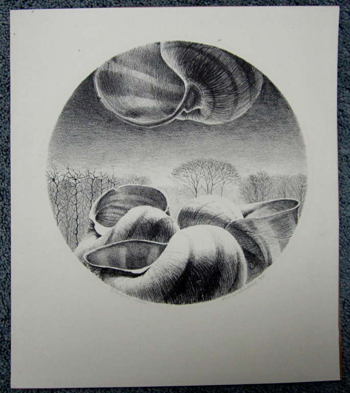 Eric Wittenberns, litho, Schelpen verkocht voor € 40!