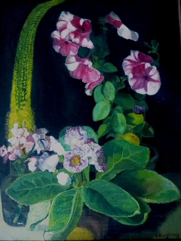 Gerrit Willem van Yperen, Olieverf op doek: stilleven met cactus, handgesigneerd verkocht voor € 850!