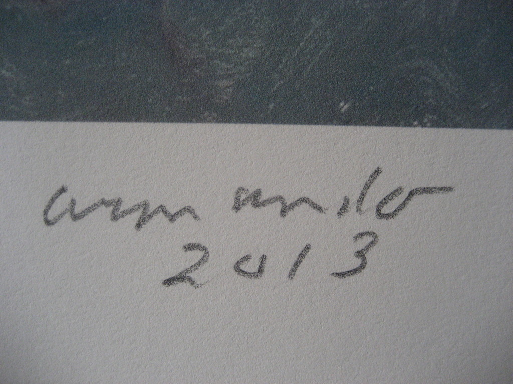 Armando - handgesigneerd - giclee - oplage 50 exemplaren kopen? Bied vanaf 135!