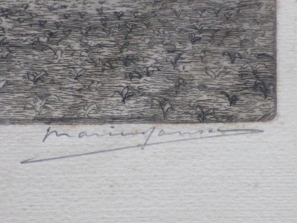 Marius Janssen, Mijnsheerenland, Ets kopen? Bied vanaf 35!