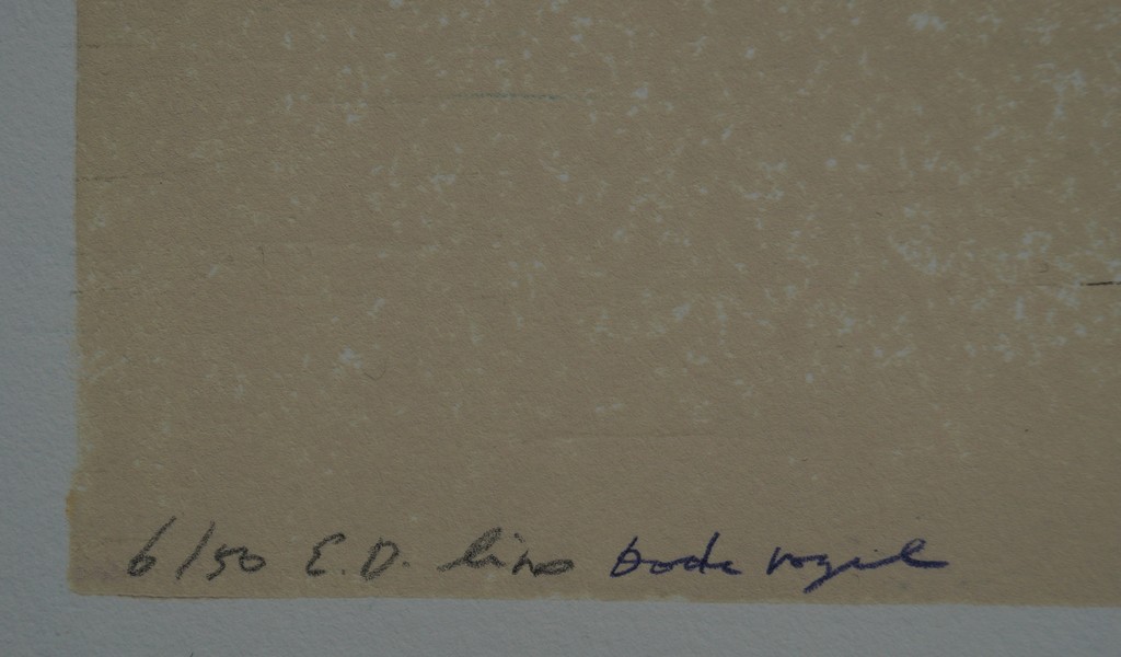 Marja de Raadt - Marja de Raadt - gesigneerde linosnede - Dode vogel kopen? Bied vanaf 25!