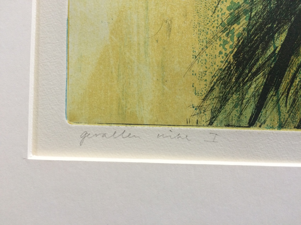 Hans Vredegoor, grote kleurenets  kopen? Bied vanaf 65!