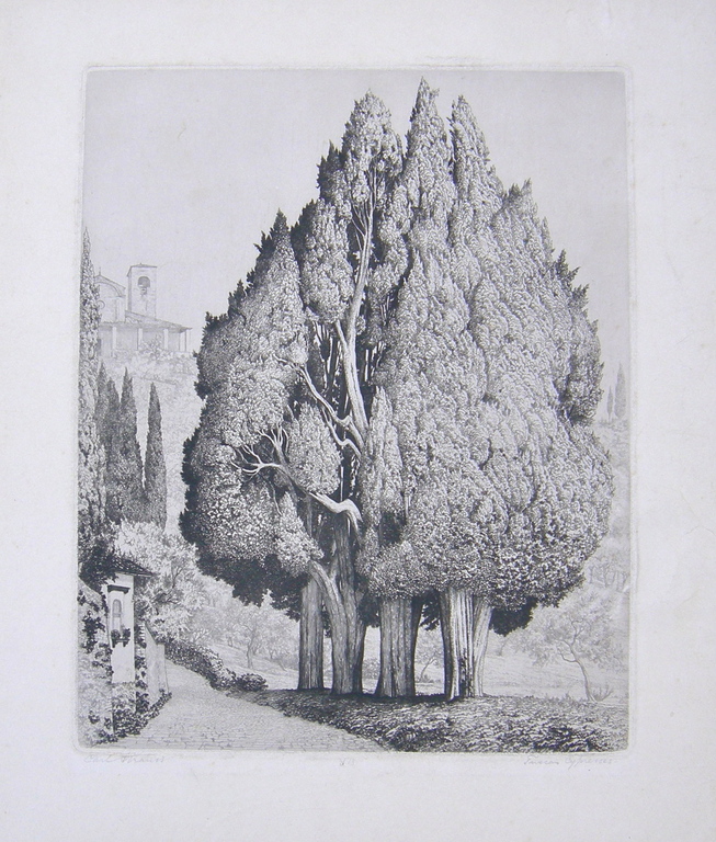 Carl Strauss, ets: Tuscan Cypresses kopen? Bied vanaf 1!