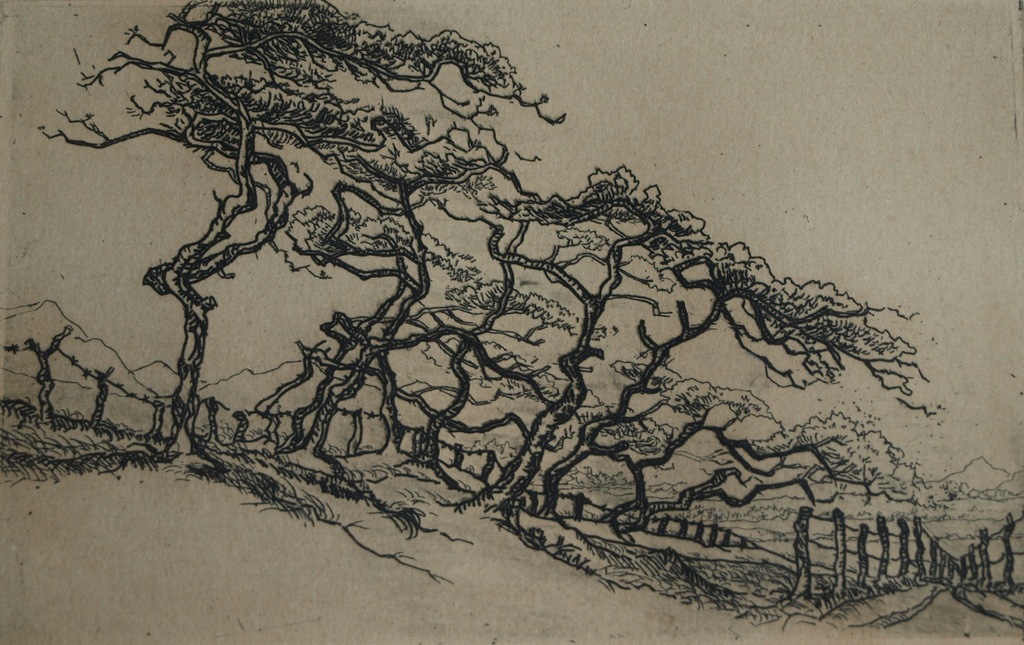 Ruurd van den Berg : Ets , Meijendel – gesigneerd & ingelijst - 1946  kopen? Bied vanaf 1!