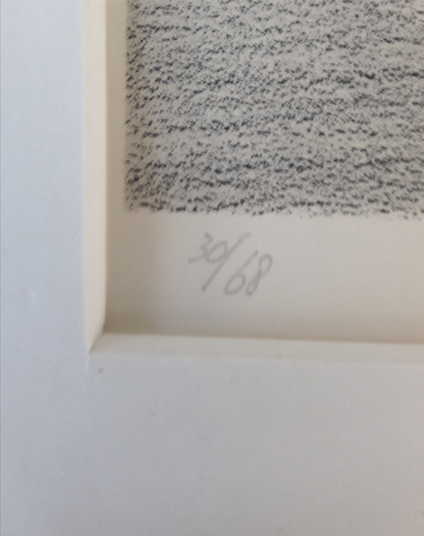 Jeroen Henneman , grafiek/ papier Vis in glas kopen? Bied vanaf 95!