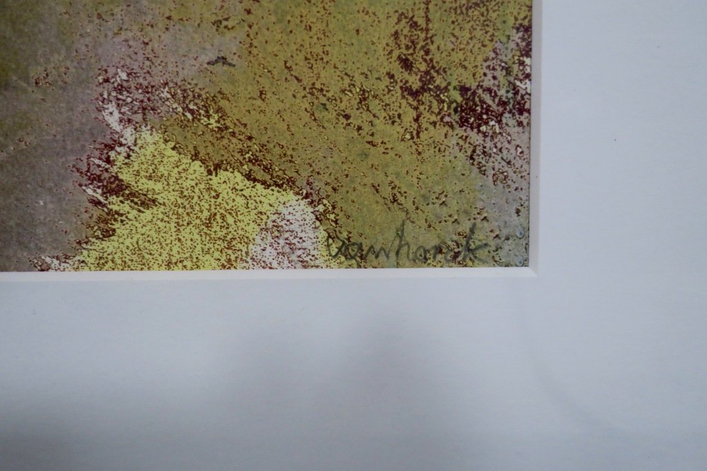 Hans Vanhorck: Litho, 10914 - Ingelijst kopen? Bied vanaf 60!