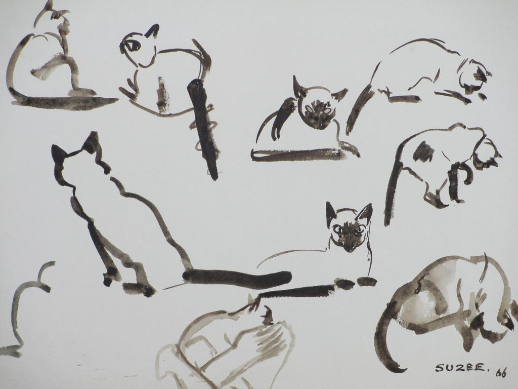Hannie Bouman, Studietekening Katten, Inkt/Aquarel kopen? Bied vanaf 20!
