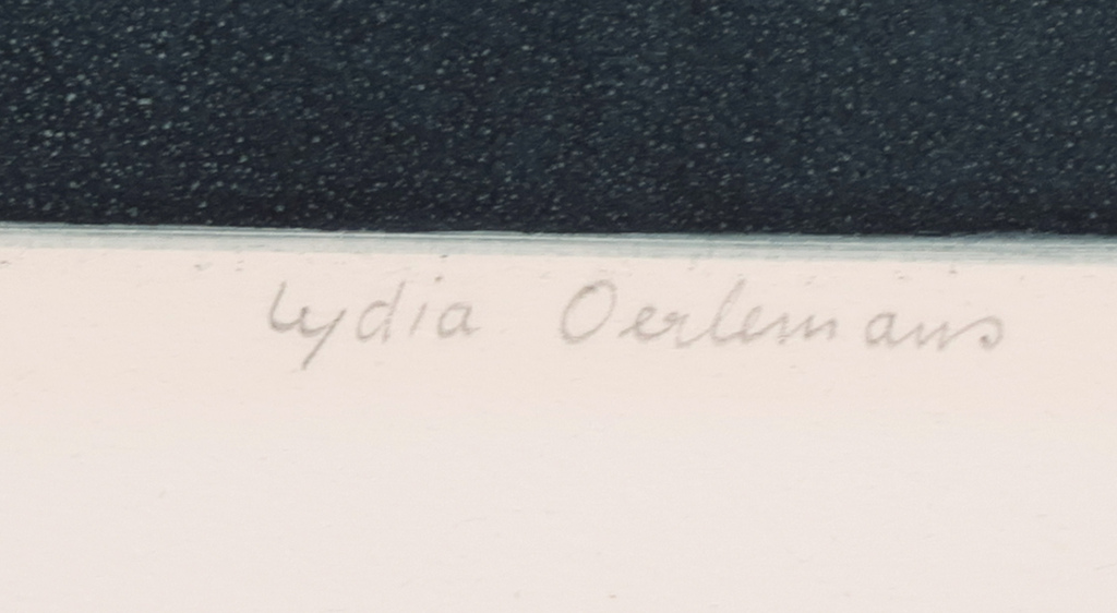 Lydia Oerlemans: Ets en aquatint, Zonder titel kopen? Bied vanaf 40!