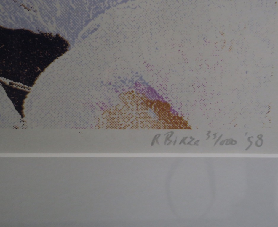 Rob Birza: Zeefdruk, De anatomieles - Ingelijst kopen? Bied vanaf 50!