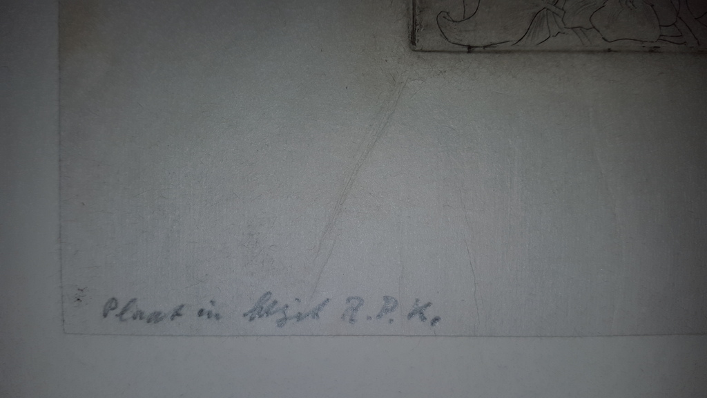 Jan Toorop - litho "meisje", gesigneerd in de plaat - 1902 kopen? Bied vanaf 59!