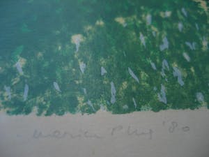 Marian Plug - Marian Plug Kleurenlitho Paard in Wiltshire kopen? Bied vanaf 1!