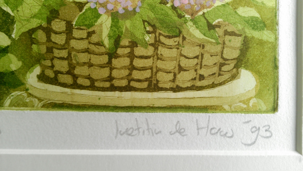 Hortensiatuin II kopen? Bied vanaf 27!