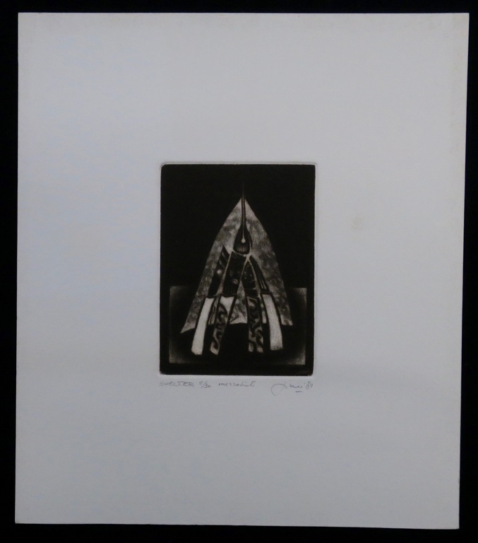 Rob Figee: Mezzotint, Shelter kopen? Bied vanaf 20!