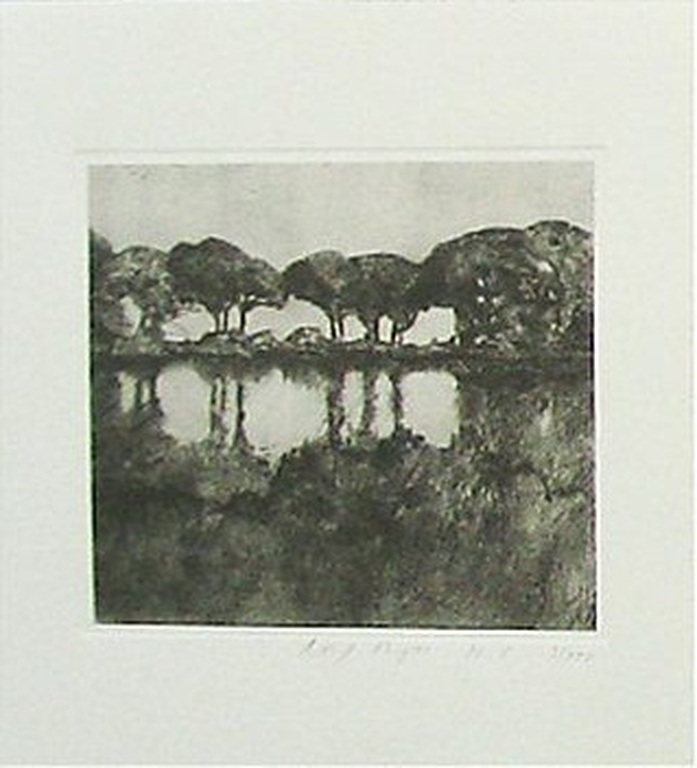Rolf Meyn: Lithografie, Landschap met bomen kopen? Bied vanaf 5!