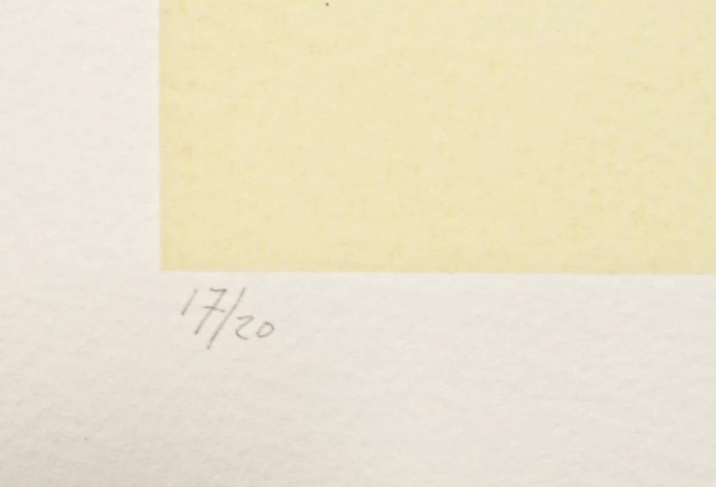 Lot met 6 werken van Pieter Bijwaard: Zeefdruk, Zonder titel II kopen? Bied vanaf 1!