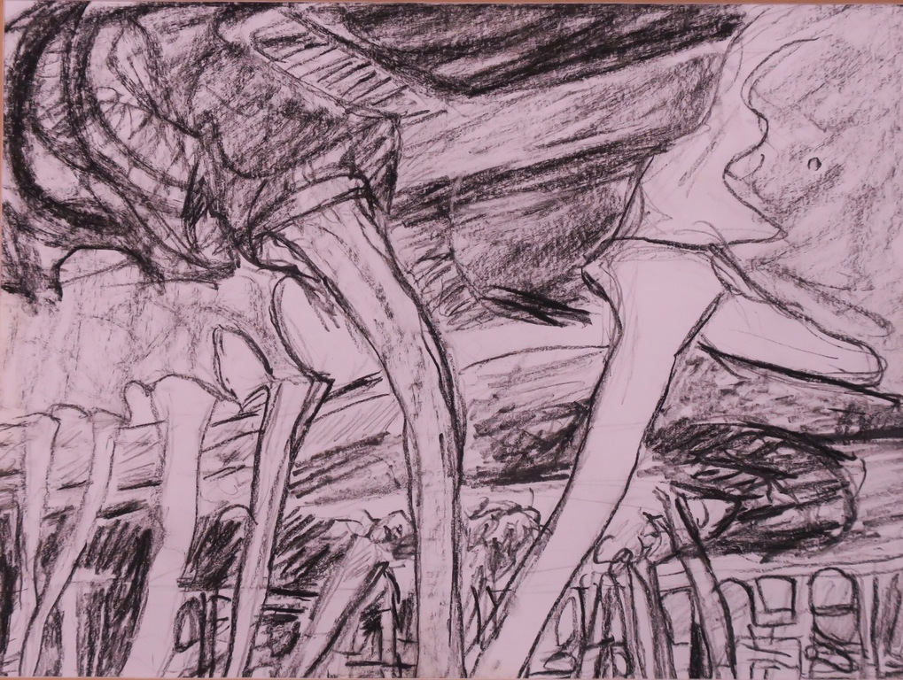 Sophie Bekkering: Houtskool op papier, Sprengkop kopen? Bied vanaf 1!