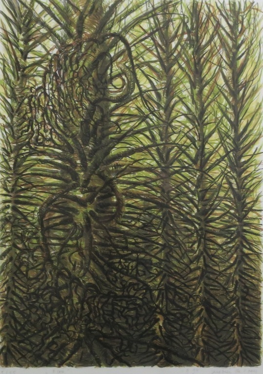 Jacobien de Rooij: Litho, Flou - Ingelijst kopen? Bied vanaf 1!