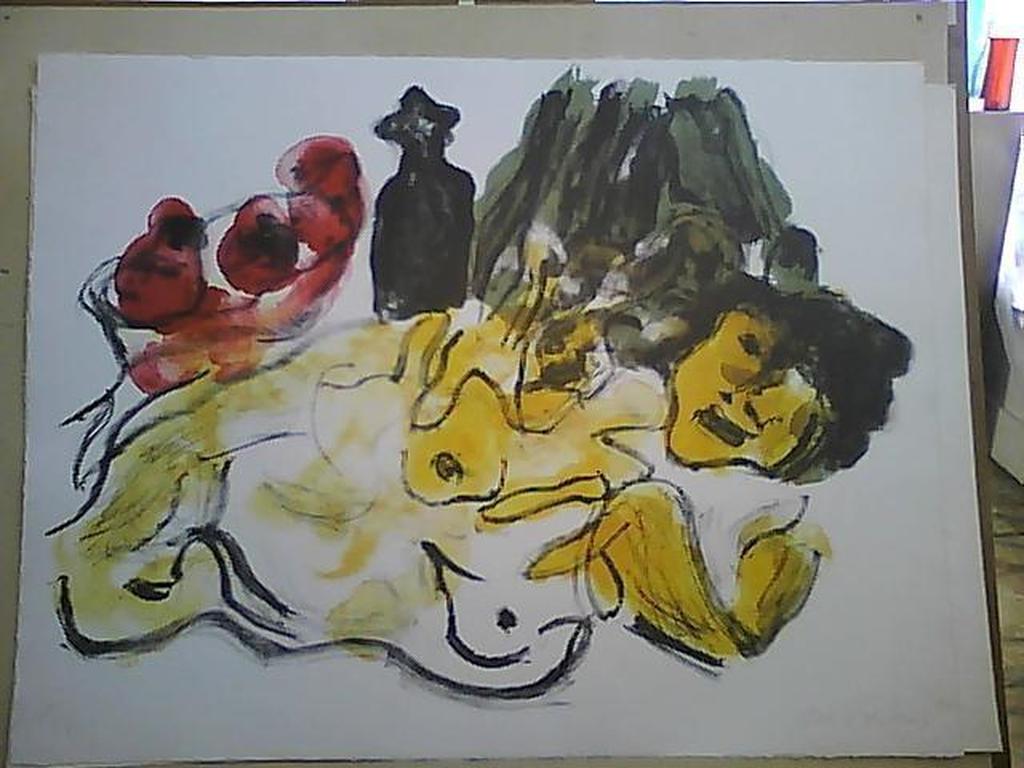 Jan Sierhuis Kleurenlitho verkocht voor € 90!