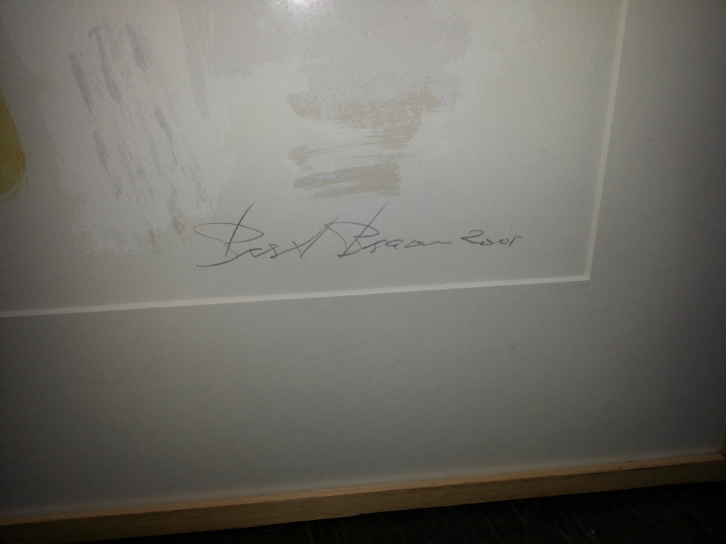 Bert Braam, Litho 77/100, hand gesigneerd en genummerd kopen? Bied vanaf 39!