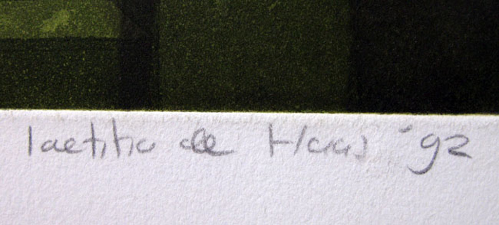 Laetitia de Haas - MORNING GLORY - kleurets kopen? Bied vanaf 1!