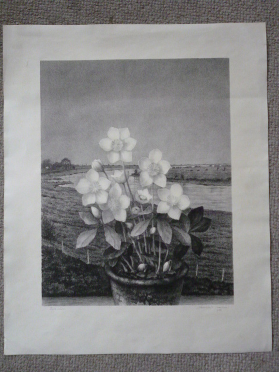 Jan Visser - litho - Stille wacht kopen? Bied vanaf 30!