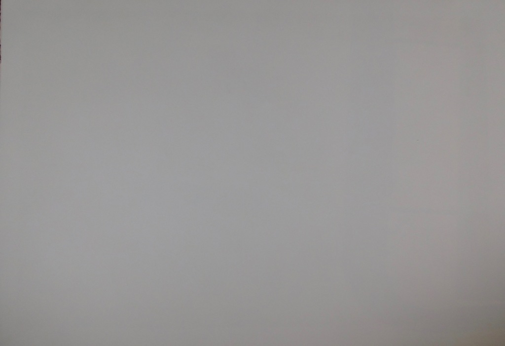 Dees de Bruyne - kleurenlitho - Femme Bleu kopen? Bied vanaf 90!