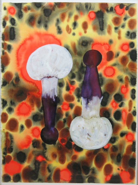 Mareike Geys: Aquarel, Champignon pion -Ingelijst verkocht voor € 50!