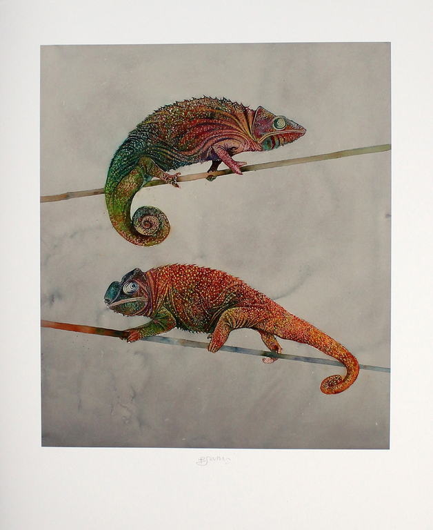 Bruno Bruni -Twee Kameleons- Prachtig mooie Pigmentdruk. Gesigneerd. 2017 kopen? Bied vanaf 75!