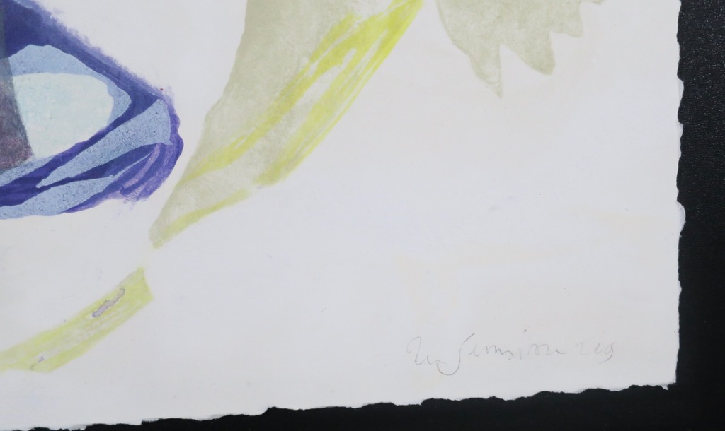 Ron Gennisse: Litho, Tweedeling - Ingelijst kopen? Bied vanaf 1!