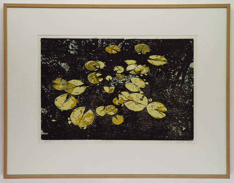 Dianne Bakker: Vijver met waterlelies - houtsnede, 1986 kopen? Bied vanaf 180!