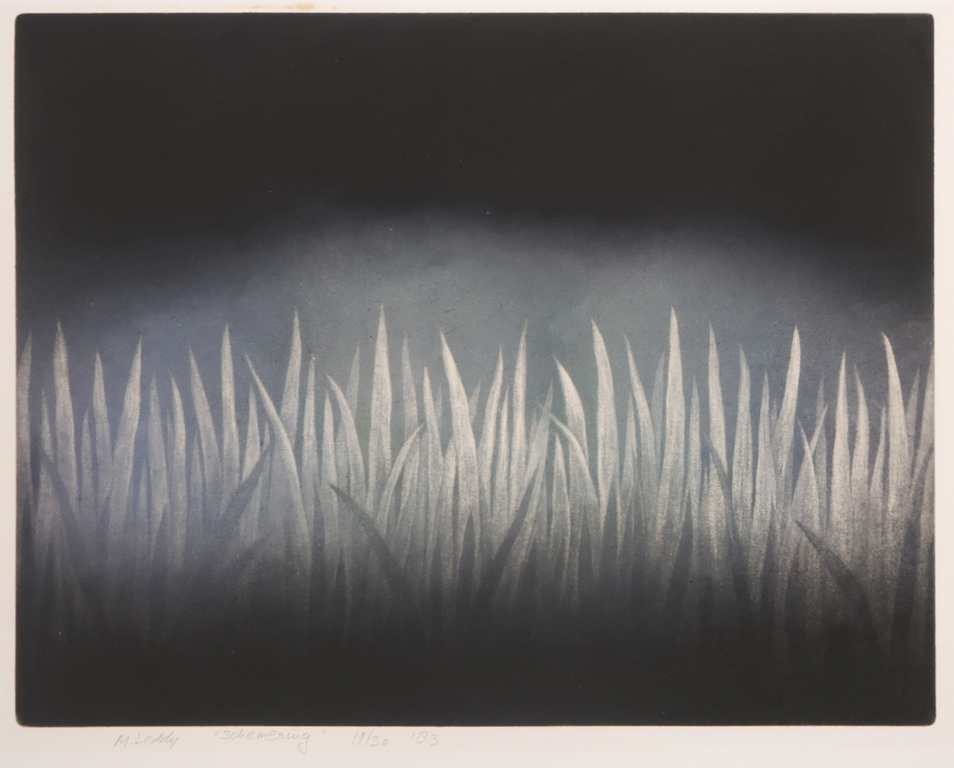 Madeleine Leddy: Mezzotint, Schemering kopen? Bied vanaf 20!