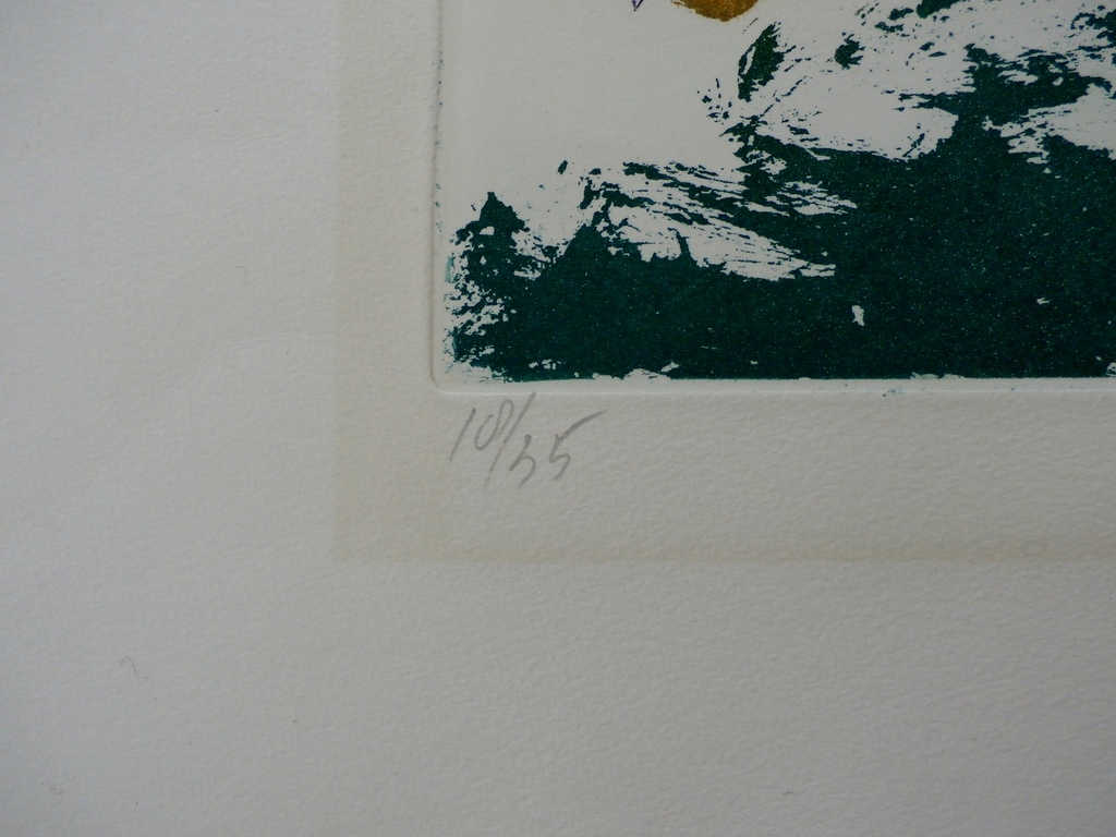 Jan Sierhuis - ets - 1993 - oplage 35 stuks kopen? Bied vanaf 75!