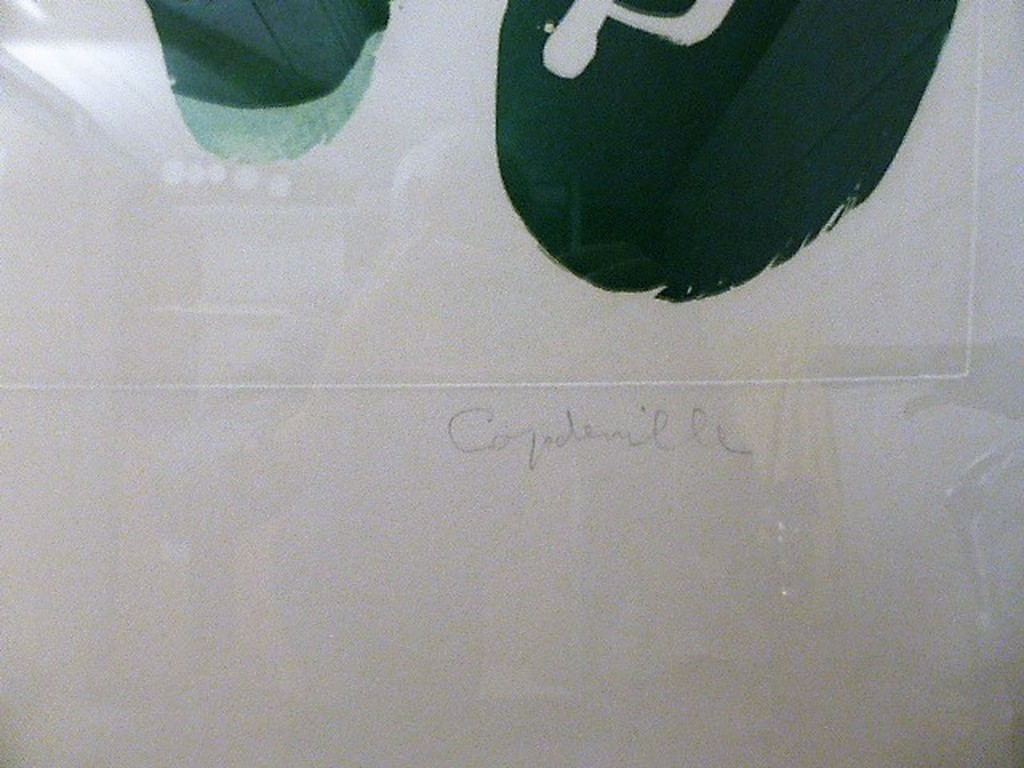 Jean Capdeville    grote ingelijste litho kopen? Bied vanaf 125!