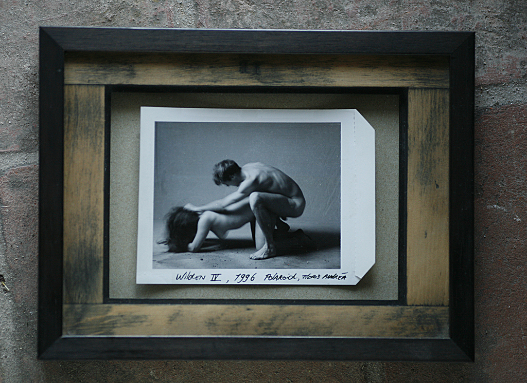 Floris Andrea: Polaroid type 55, ' Wilden IV' 1996 kopen? Bied vanaf 200!