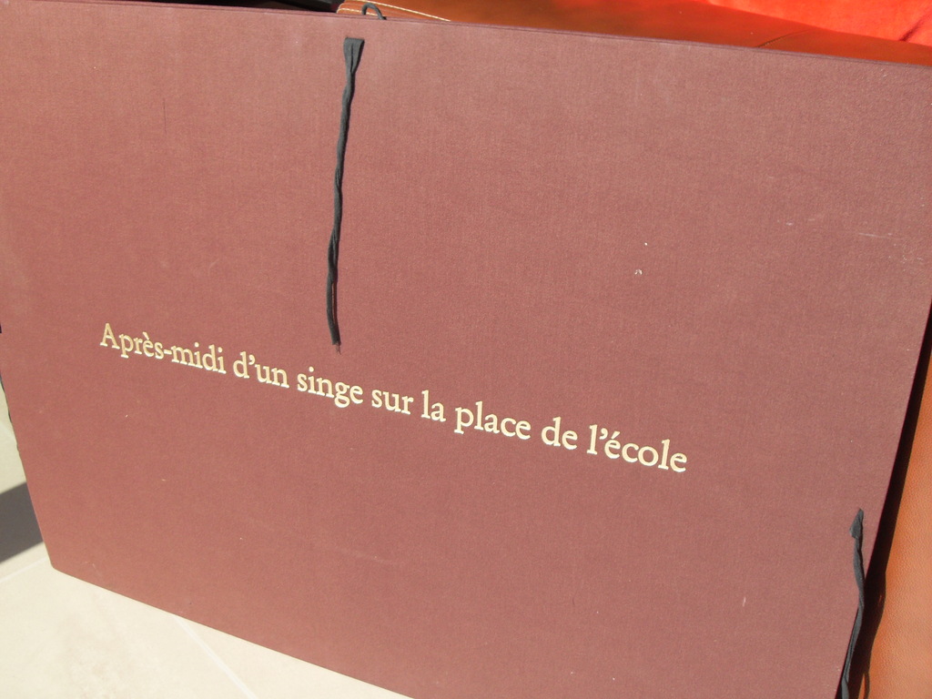 COLLECTORS ITEM / KAREL APPEL verkocht voor € 45!