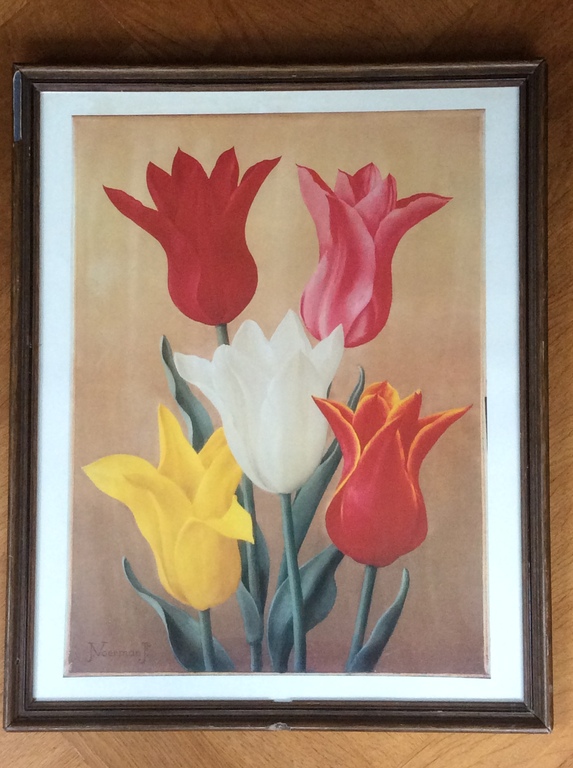 Jan Voerman Jr  Tulpen  Litho/Druk ingelijst 36 x 49 cm kopen? Bied vanaf 35!