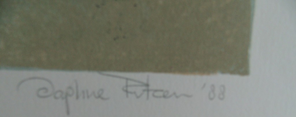 Daphne Ritzen  litho de metamorfose kopen? Bied vanaf 35!