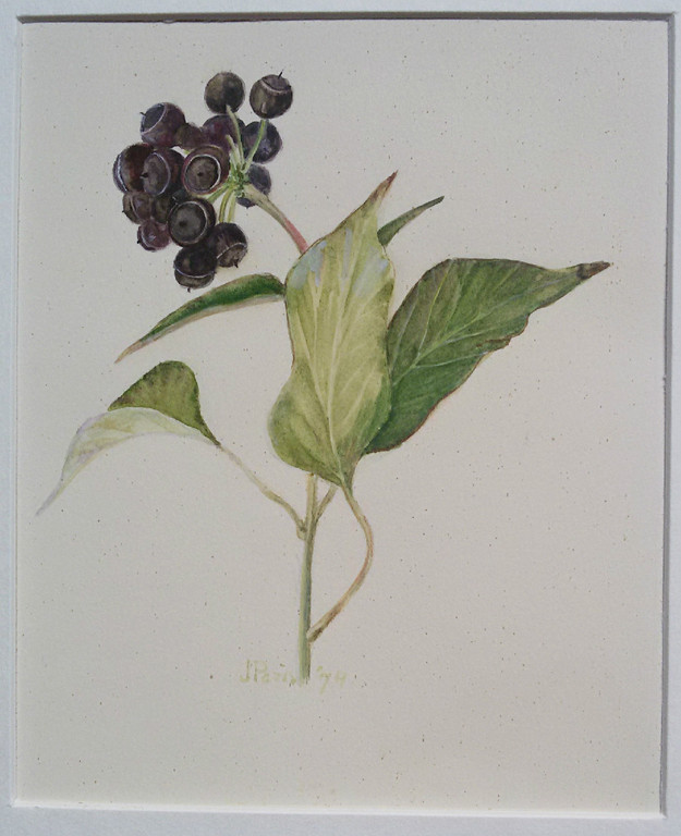 J. Paris - Bloemen en vruchten, 5x gemengde techniek (in passe-partout) kopen? Bied vanaf 40!