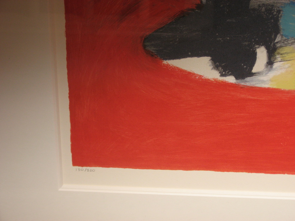 Eugène Brands: Kleurenzeefdruk - Exotische vis - PRACHTIG INGELIJST kopen? Bied vanaf 499!