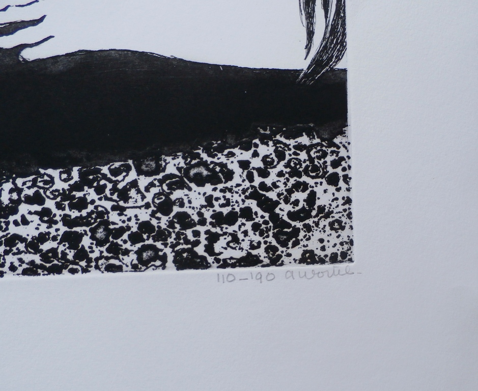 Ans Wortel - Tussen de bodem en de lucht, aquatint ets kopen? Bied vanaf 75!