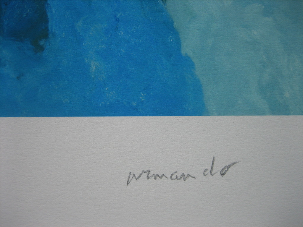 Armando - "Der Berg" - Giclee - Handgesigneerd - 2015 kopen? Bied vanaf 75!