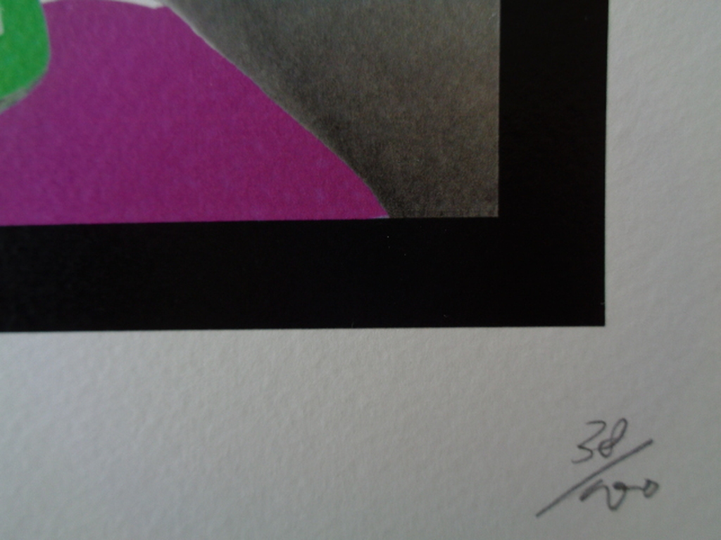 GROTE Fine Art Print,"Girl Ketchup", GESIGNEERD en COA, genummerd A/P of 1t/m100 kopen? Bied vanaf 1!