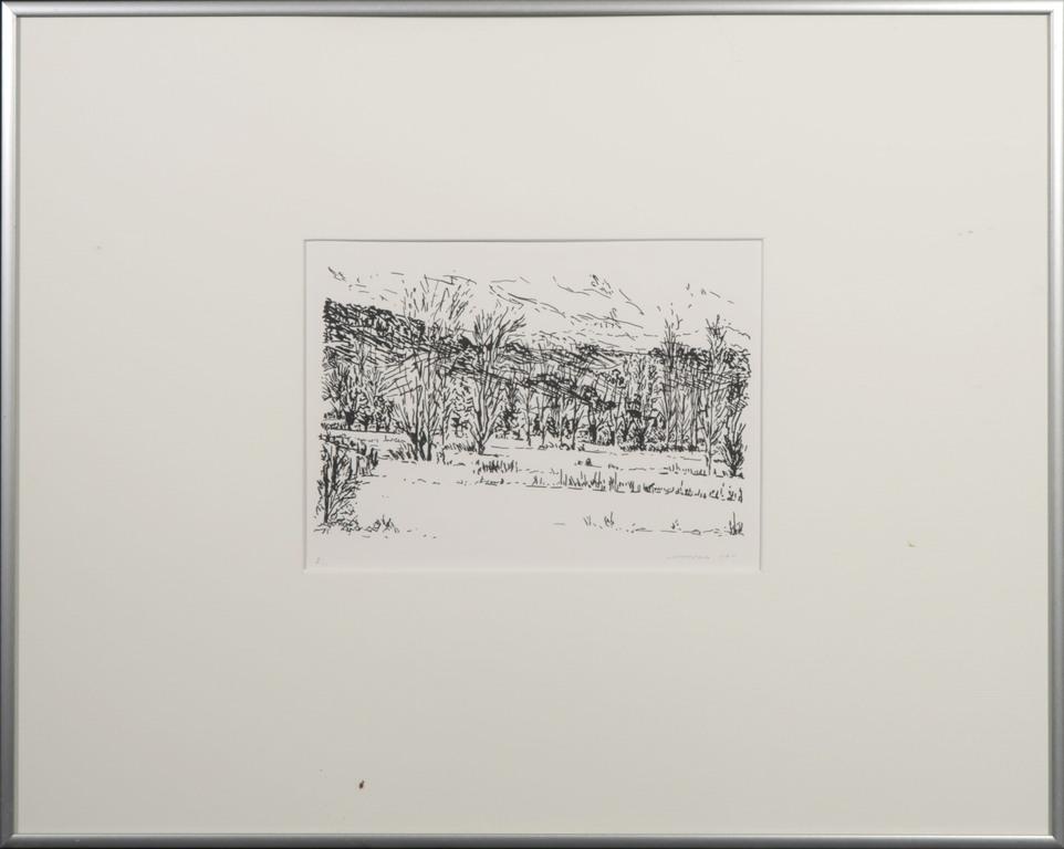 Lot met 5 Zeefdrukken van Annette Ong: Wandeltochten III - 4x Ingelijst kopen? Bied vanaf 20!